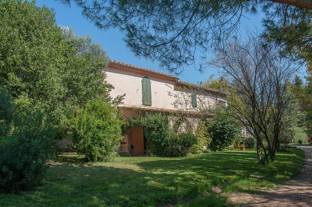 Fioralice Casa de hóspedes Fauglia Exterior foto