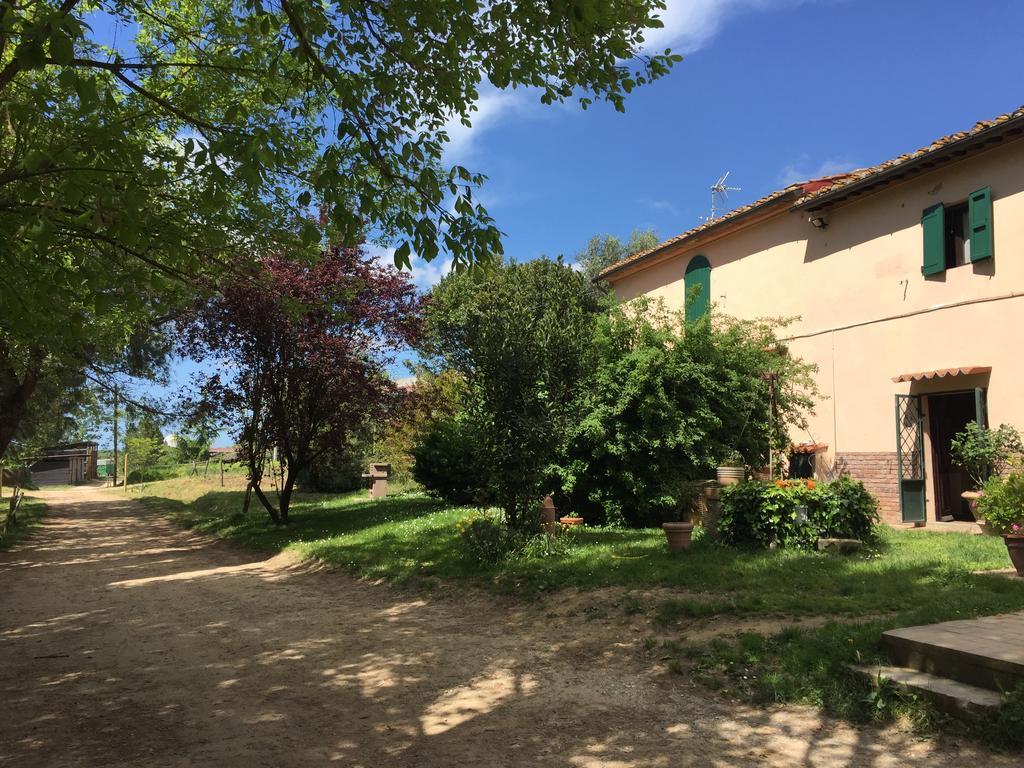 Fioralice Casa de hóspedes Fauglia Exterior foto